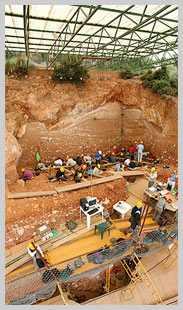 casa rural atapuerca